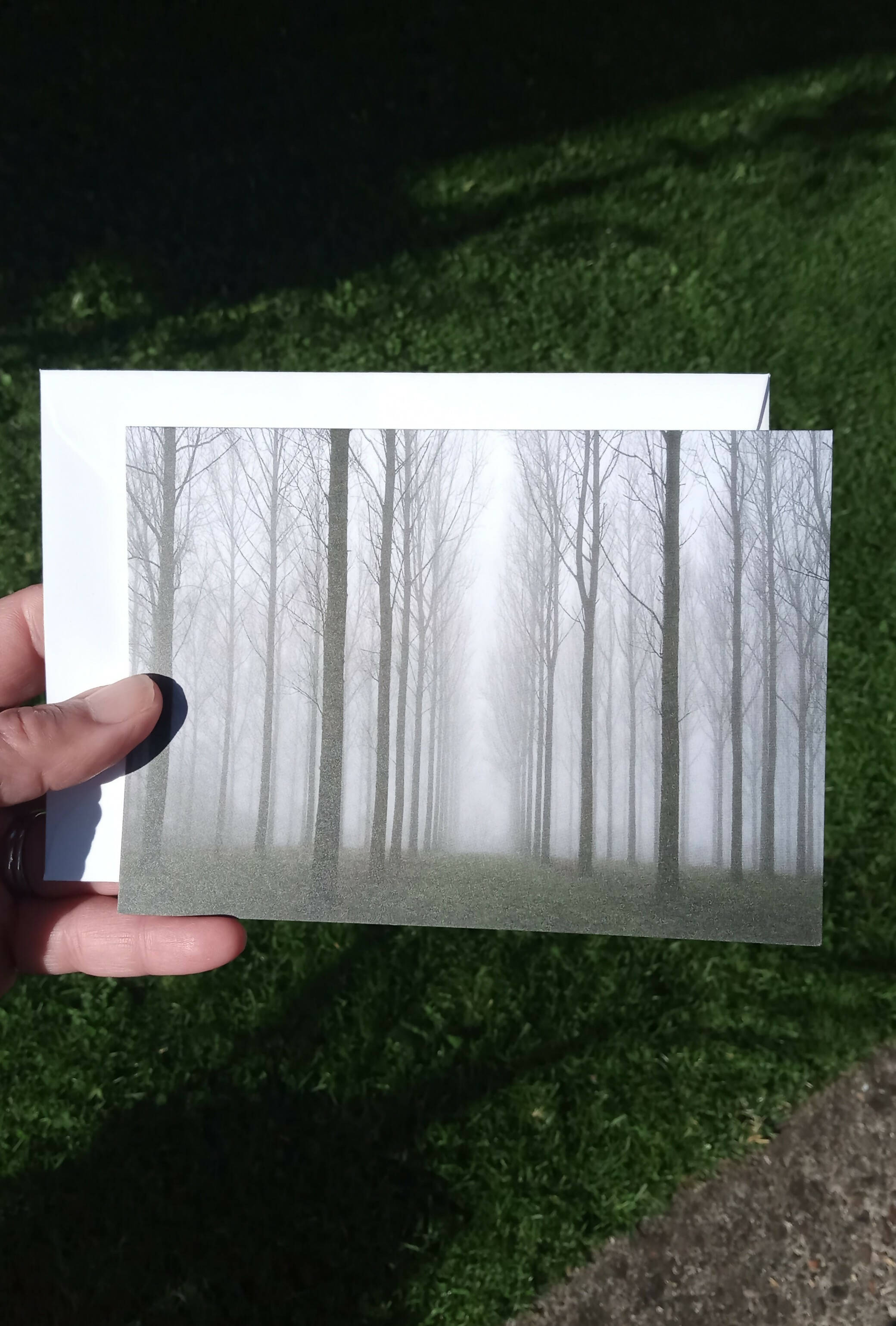 Misty trees - card