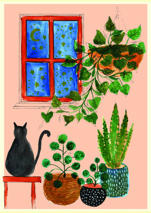 House Plant with Cat