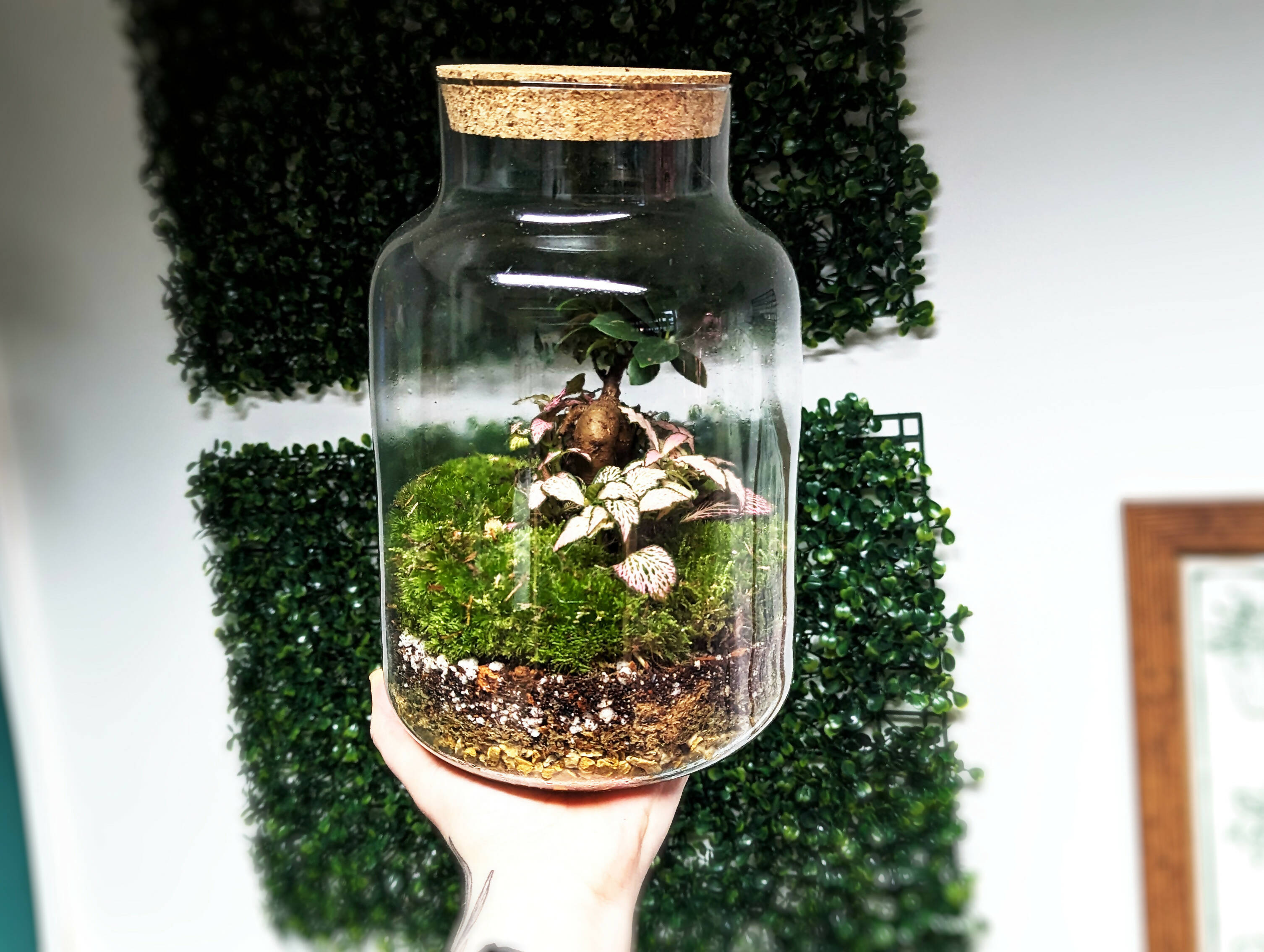 Tall Bonsai Terrarium