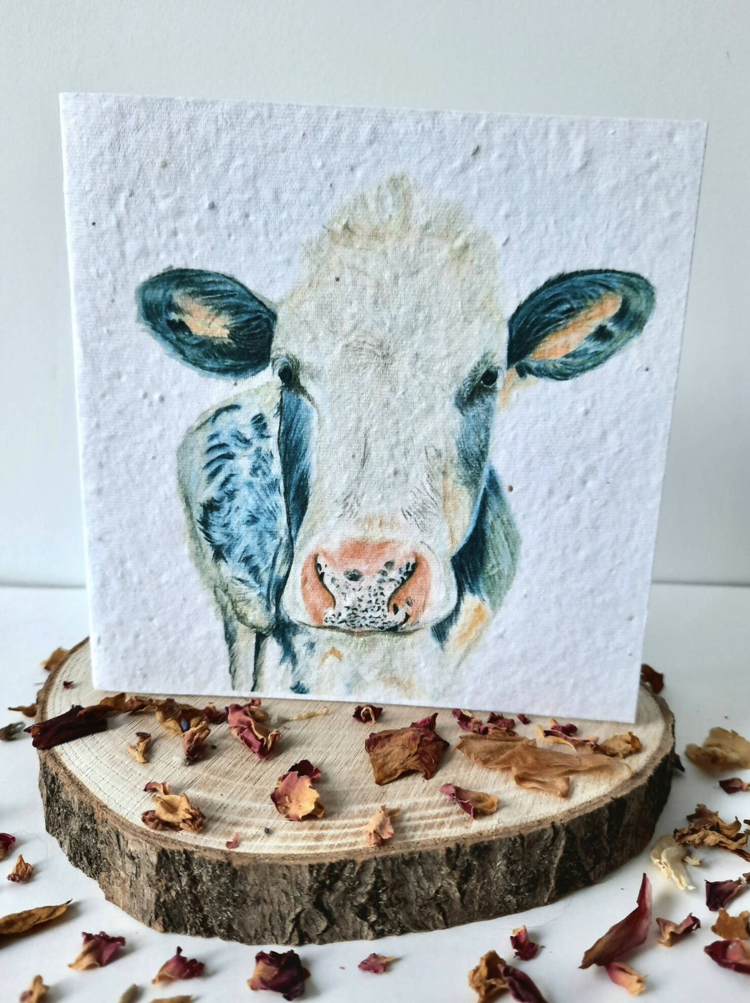 Plantable Wildflower Card - Curious Cow