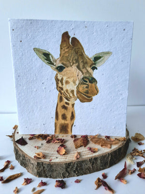 Plantable Wildflower Card - Giraffe