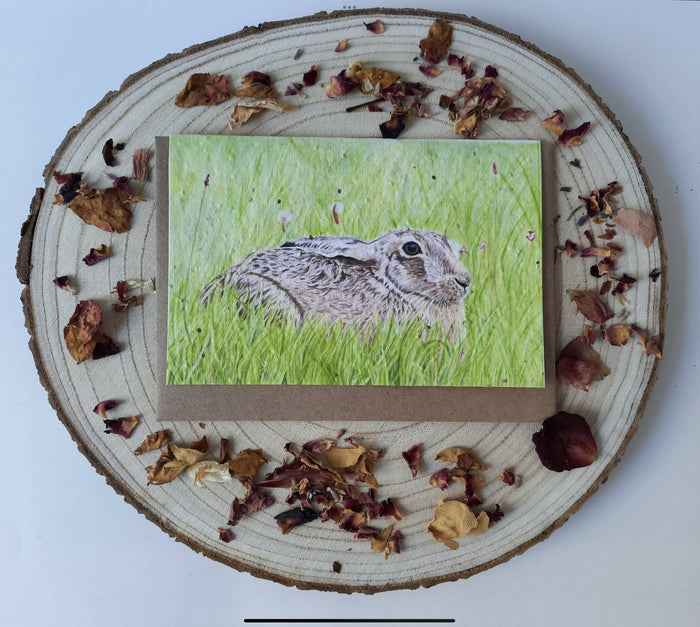 Plantable Wildflower Card - Meadow Hare