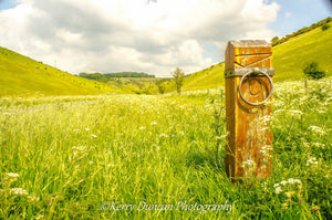 Marker To the Wolds - A3 framed