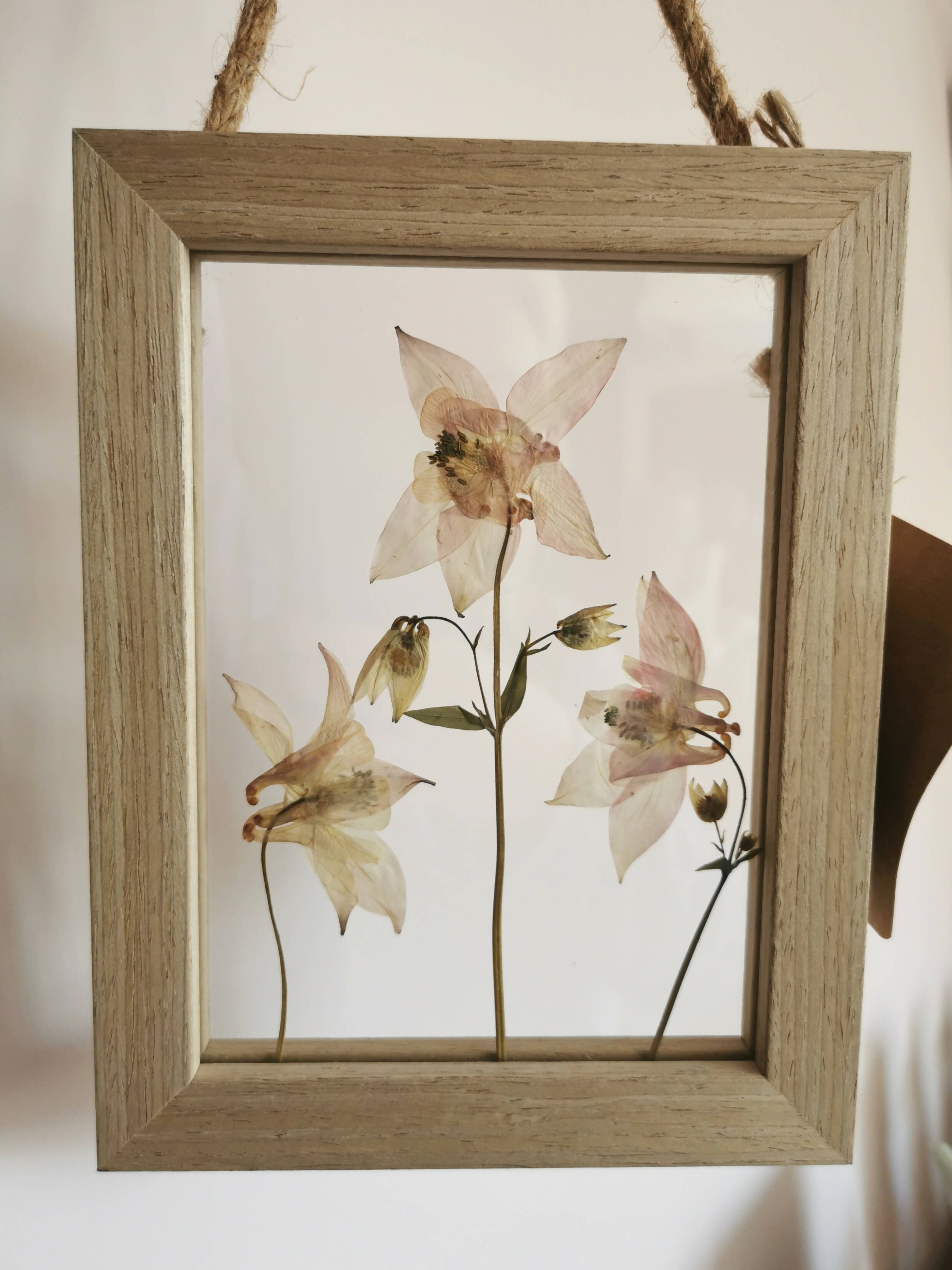 Pressed Flower Hanging Frame