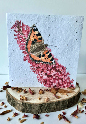 Plantable Wildflower Card - Butterfly Design