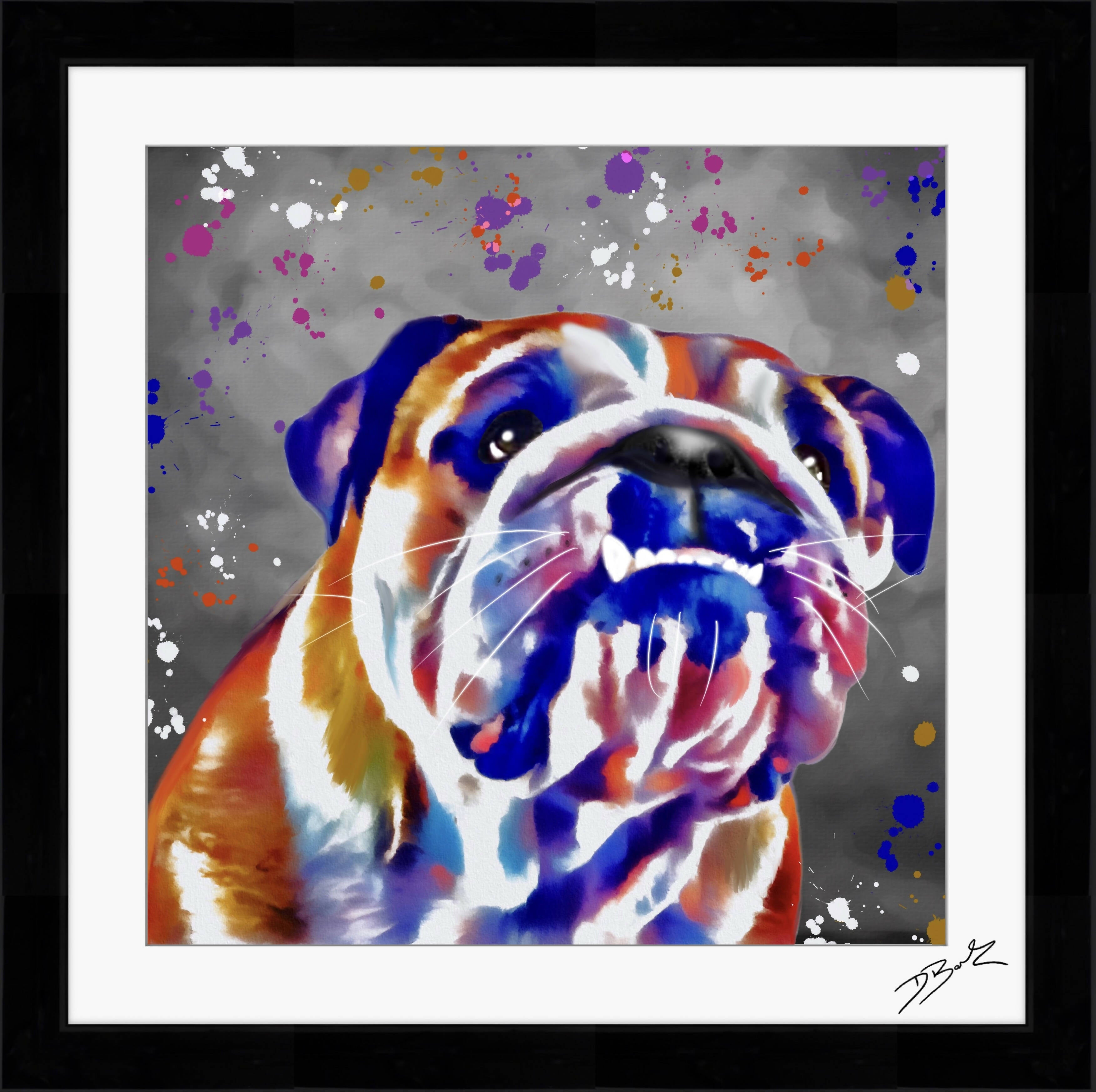 BULLDOG COLOUR SPLASH FRAMED ARTWORK.