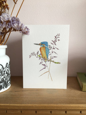 Kingfisher card