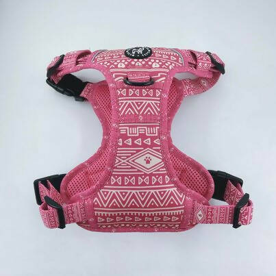 Aztec (Pink) Discovery Harness