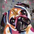 PUG DOG COLOUR SPLASH FRAMED ARTWORK.