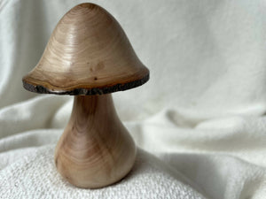 Hand Turned Wooden Mushrooms
