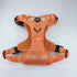 Aztec (Orange) Discovery Harness