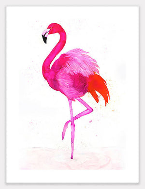 Flamingo (Phineus) Print