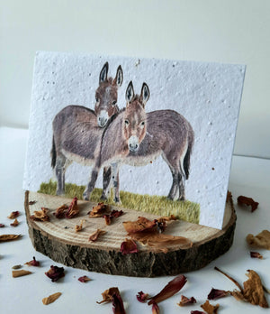 Plantable Wildflower Card - Donkey Duo