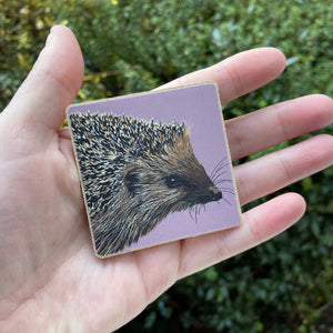 Hedgehog Fridge Magnet